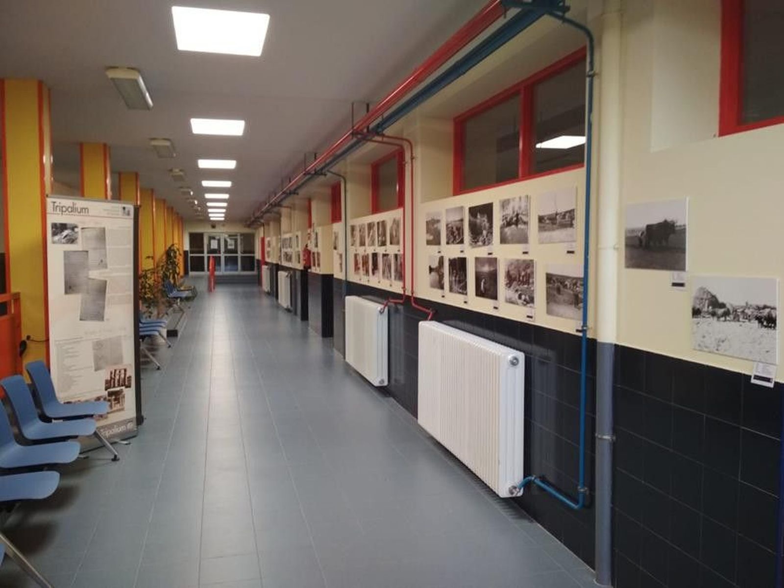 IMG 20190226 WA0003 (Copy)