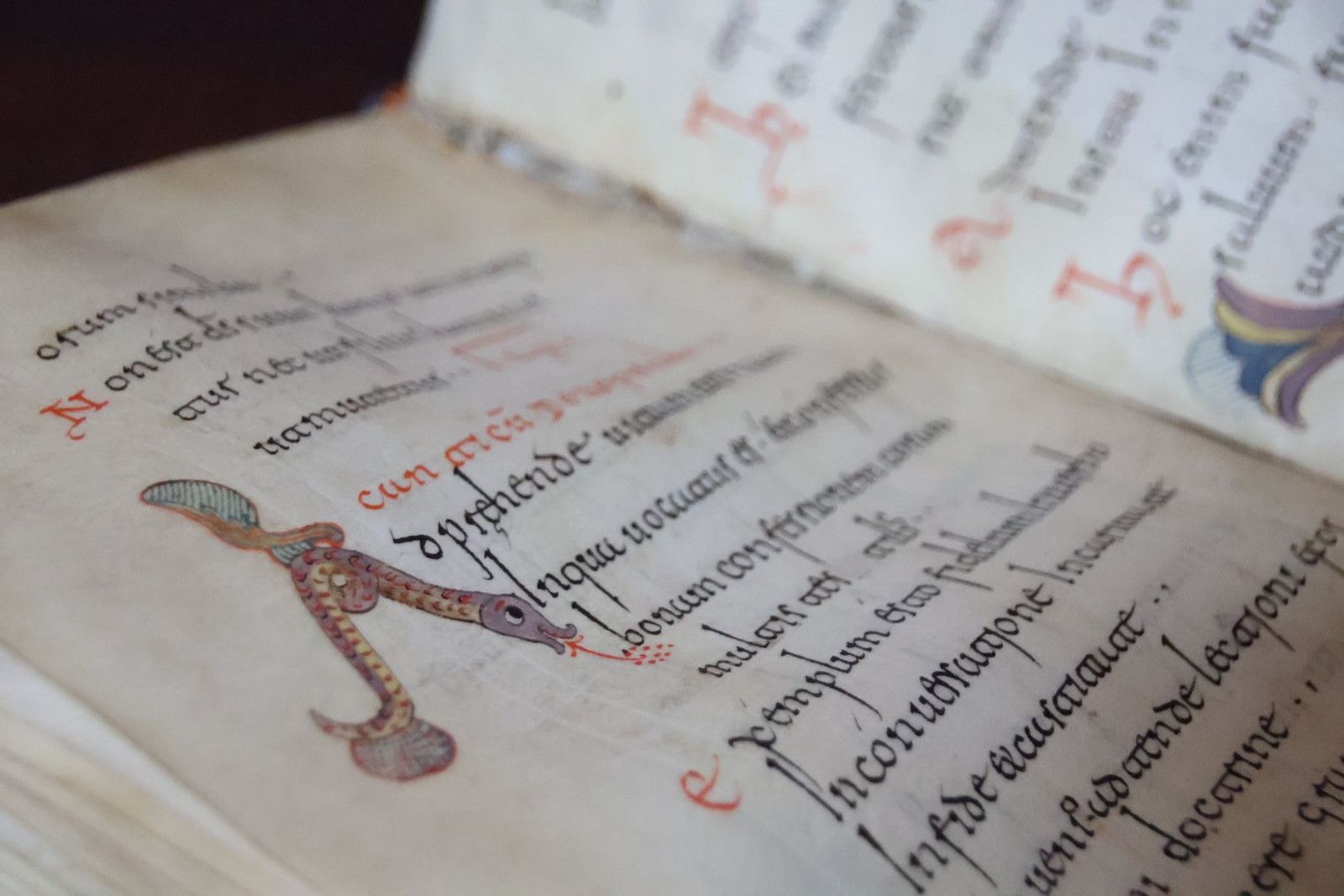 20231005110001-img-1303