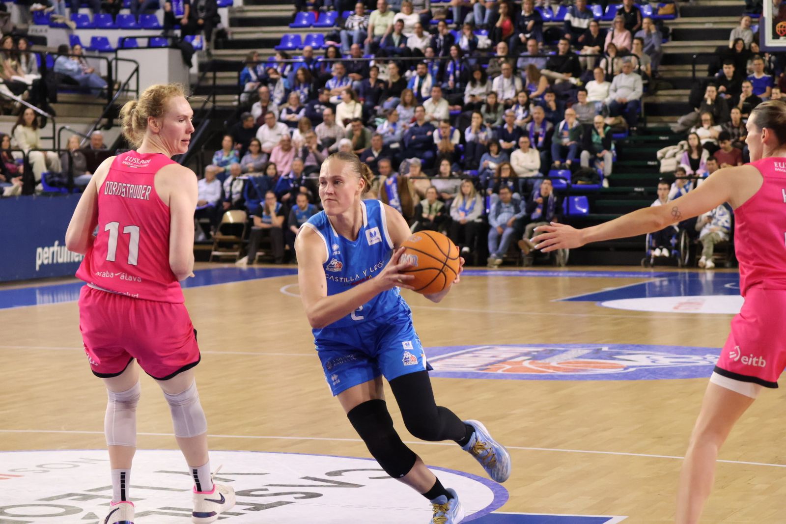 Perfumerías Avenida - Araski