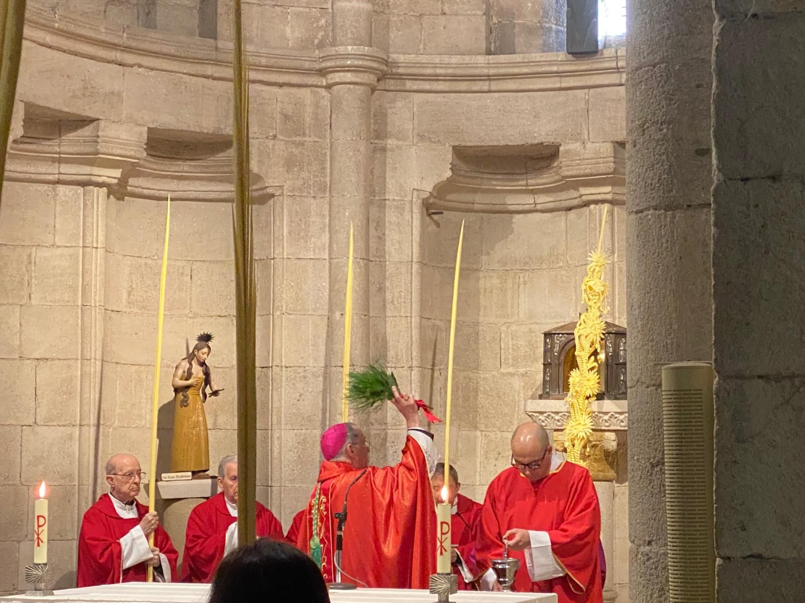 GALERÍA | Zamora celebra la bendición de palmas en este Domingo de Ramos