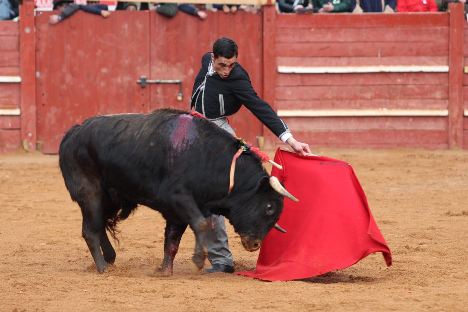 whatsapp-image-2023-02-21-at-17-51-59