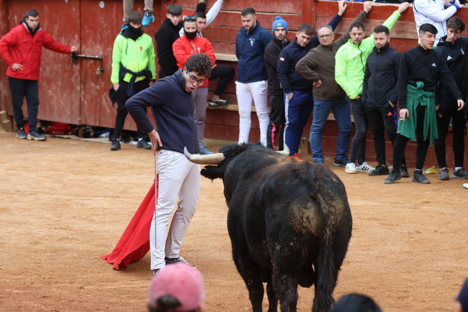 Mañana de capea de lunes en el Carnaval del Toro 2026