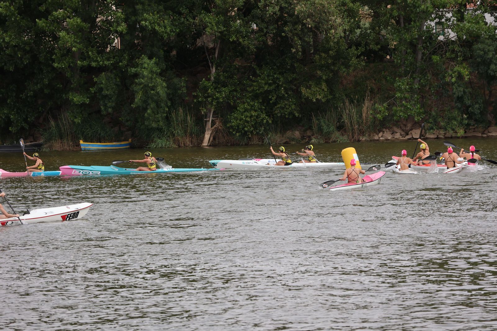 img-2266