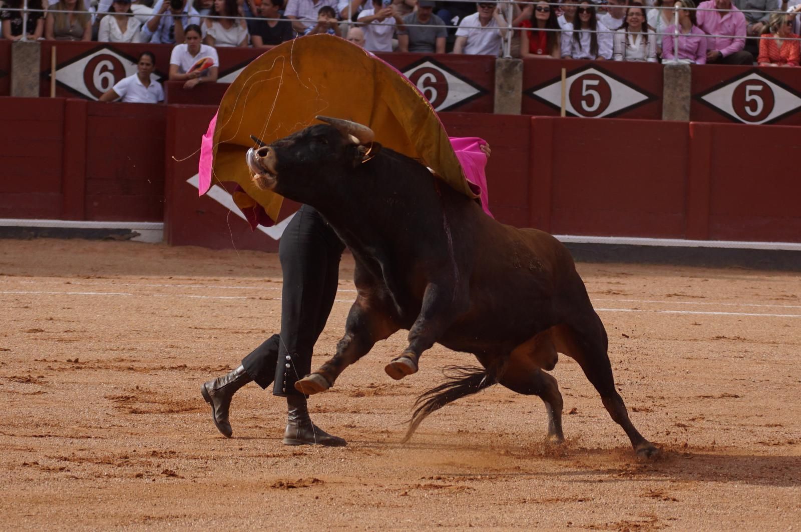 whatsapp-image-2025-06-12-at-21-25-03-4