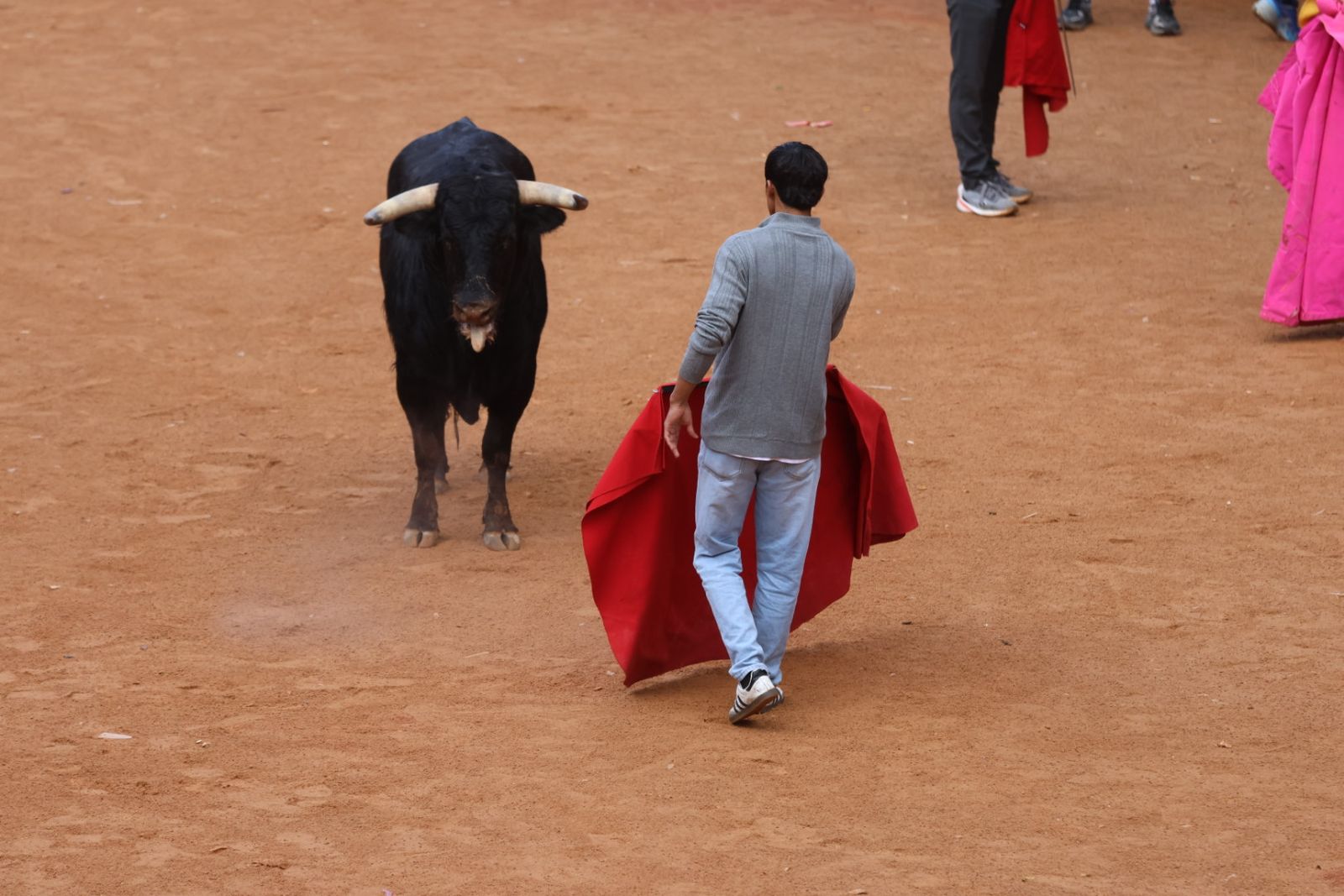 Capea de domingo en el Carnaval del Toro 2026 de Ciudad Rodrigo
