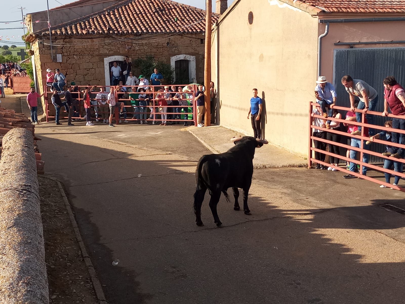 whatsapp-image-2022-05-14-at-9-12-30-pm-2