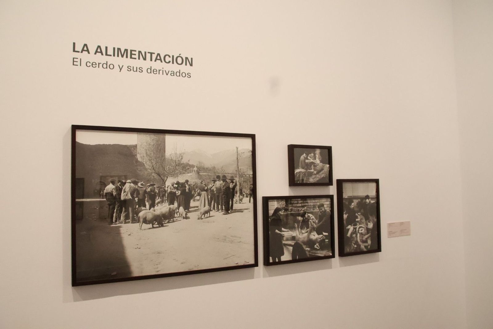 20240411094556-img-7448