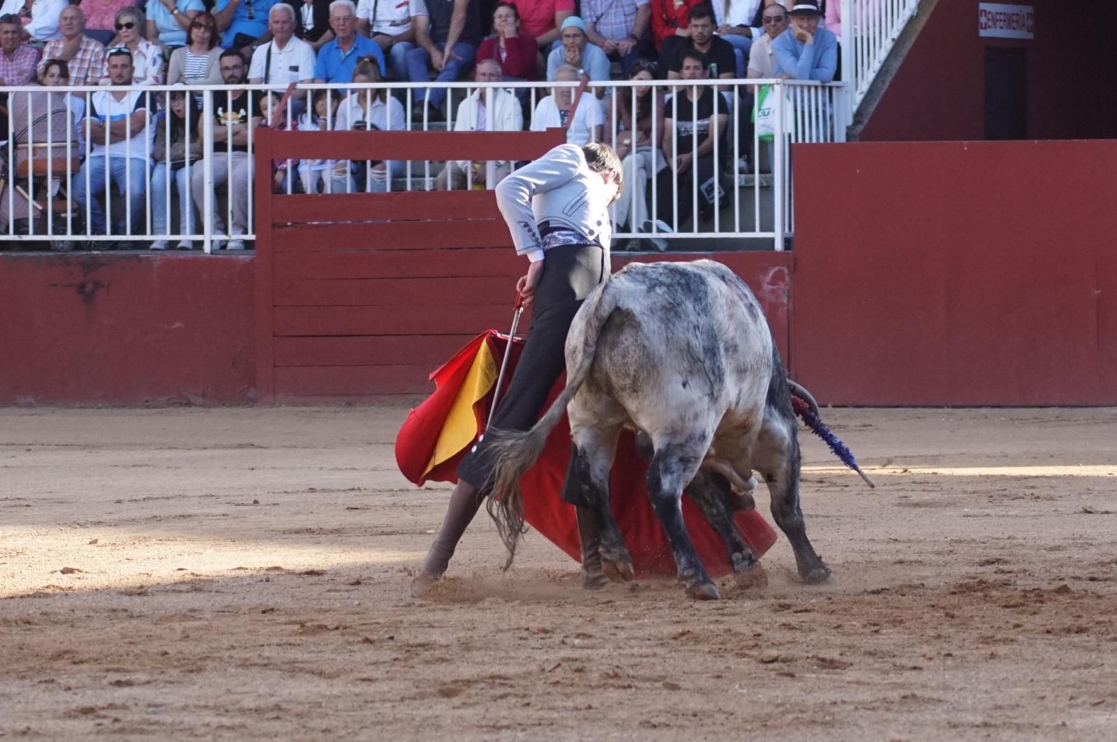 whatsapp-image-2024-09-07-at-20-48-15-6