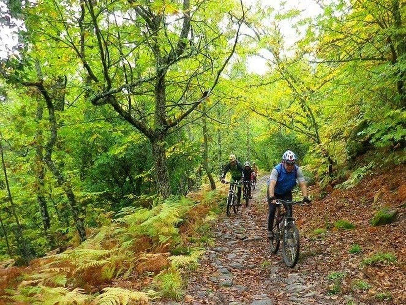 Ruta MTB en Miranda del Castañar