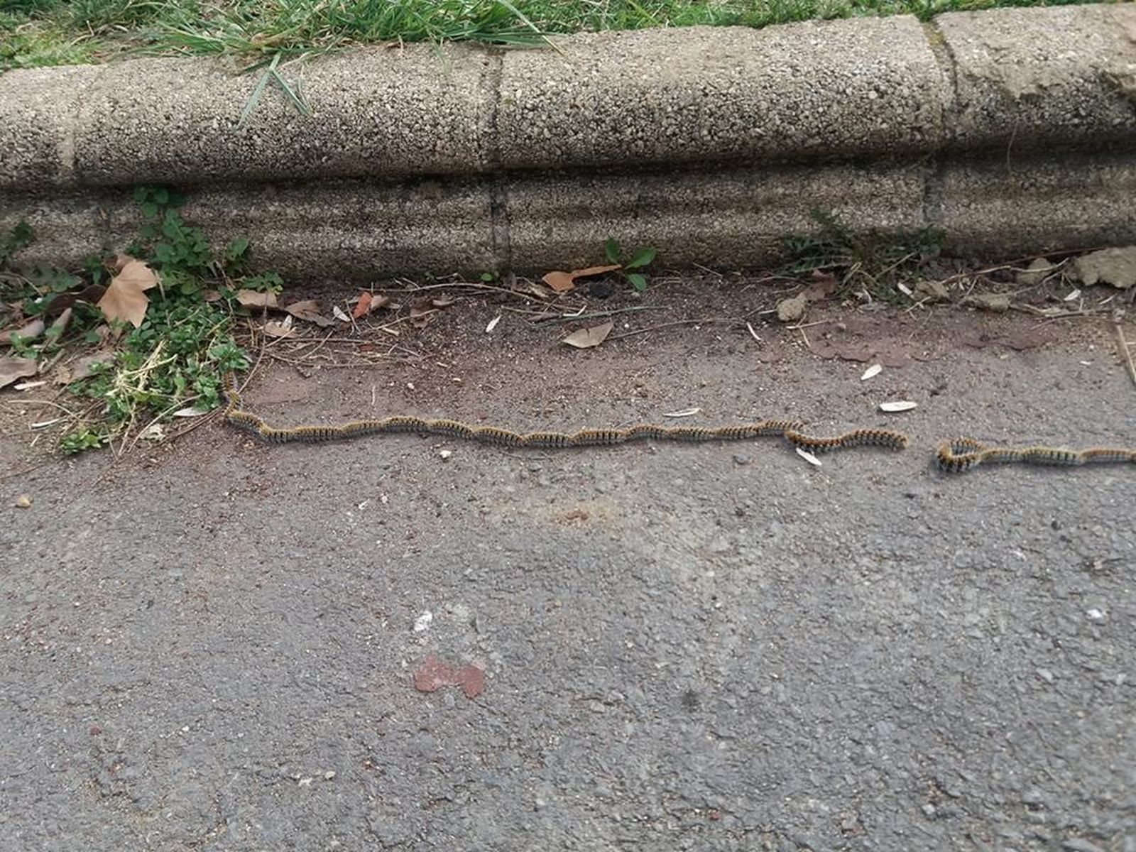 52467404 2126129664130480 1929080923161100288 n