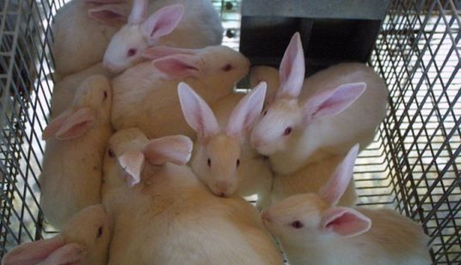 fotonoticia 20221021114414 690