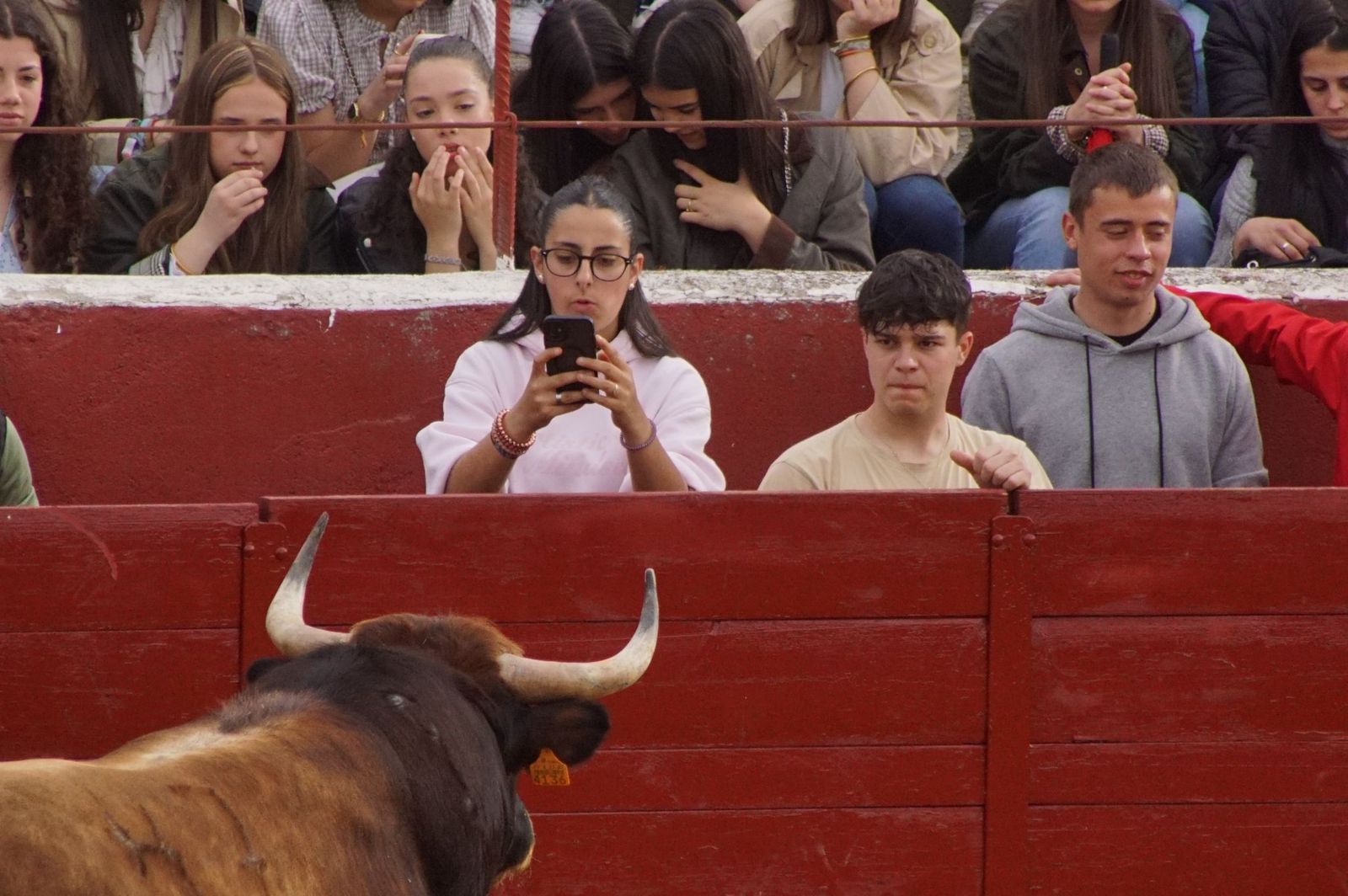 Villoria, toro del Voto
