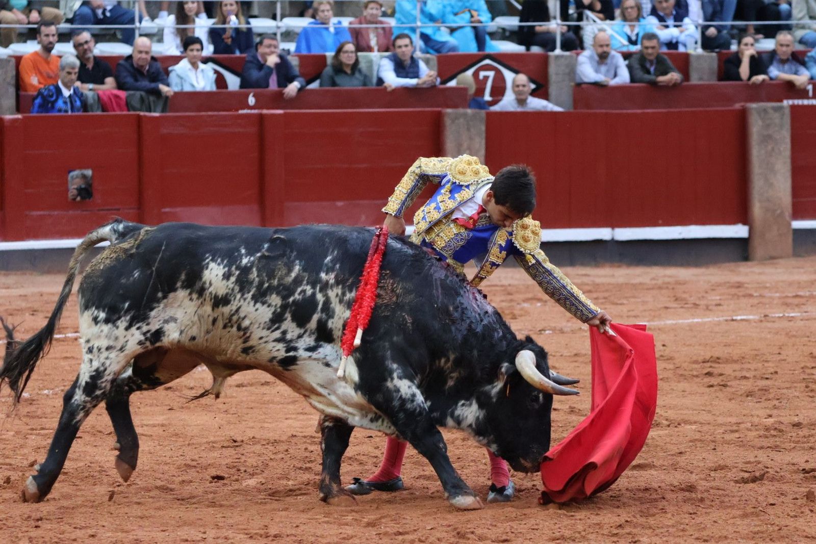 20230915185910-img-4282