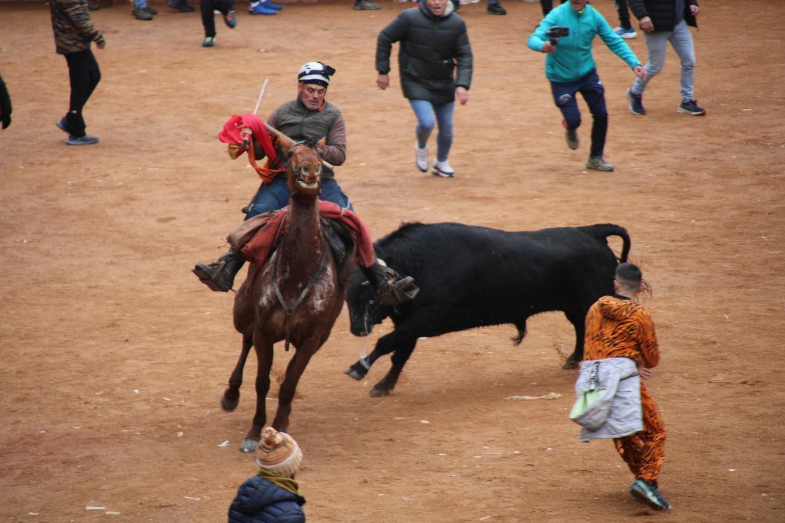 Encierro a Caballo en el Carnaval del Toro 2026 de Ciudad Rodrigo