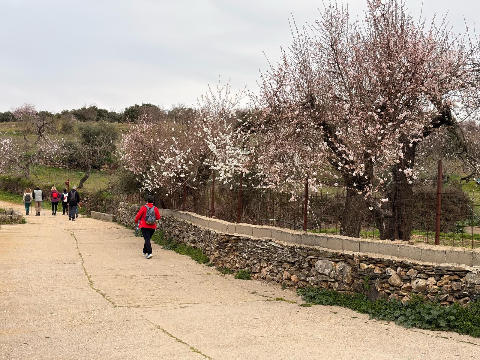 whatsapp-image-2025-02-15-at-11-08-01