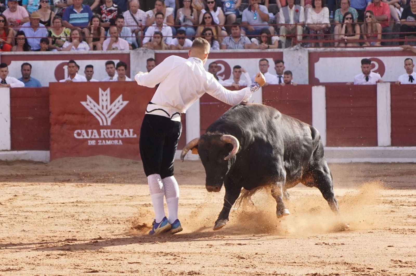 whatsapp-image-2023-07-02-at-22-40-27