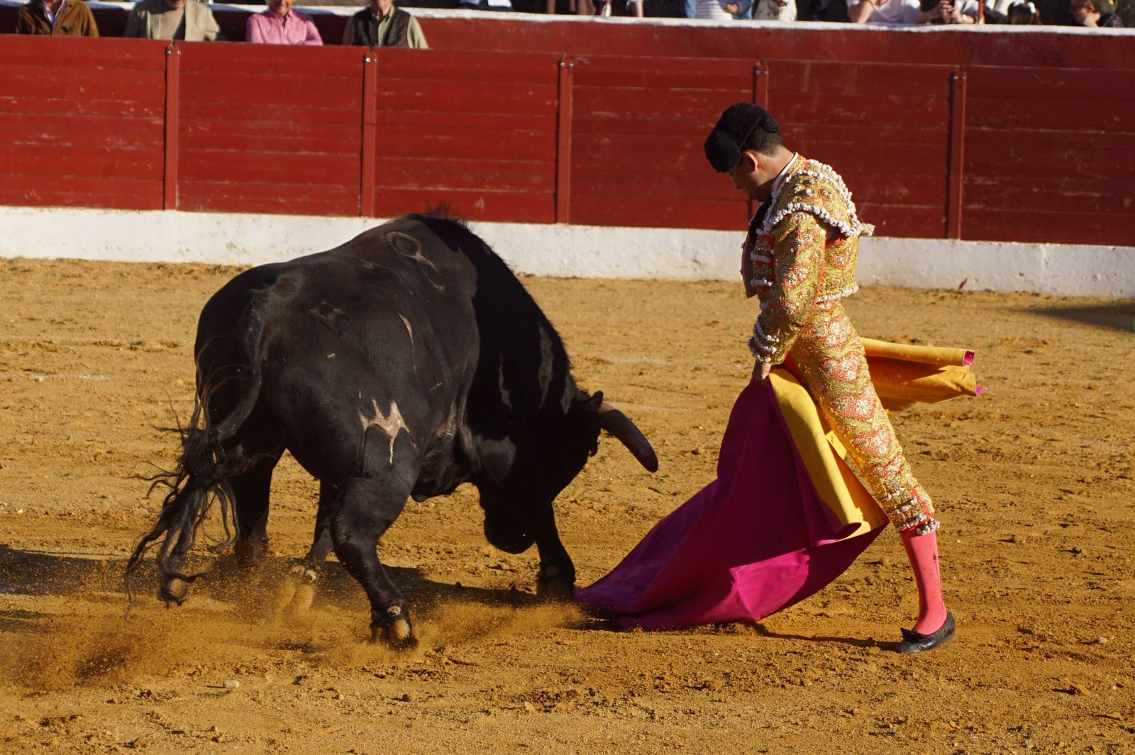 novillada-con-picadores-en-villoria-83