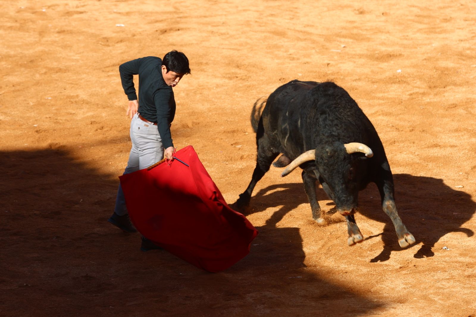 Capea de mañana en el martes del Carnaval del Toro de Ciudad Rodrigo