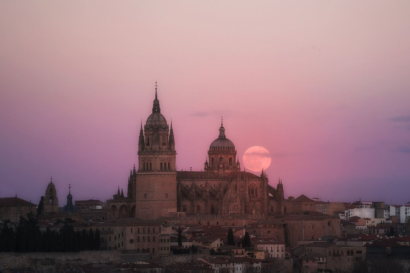 Catedrales Salamanca