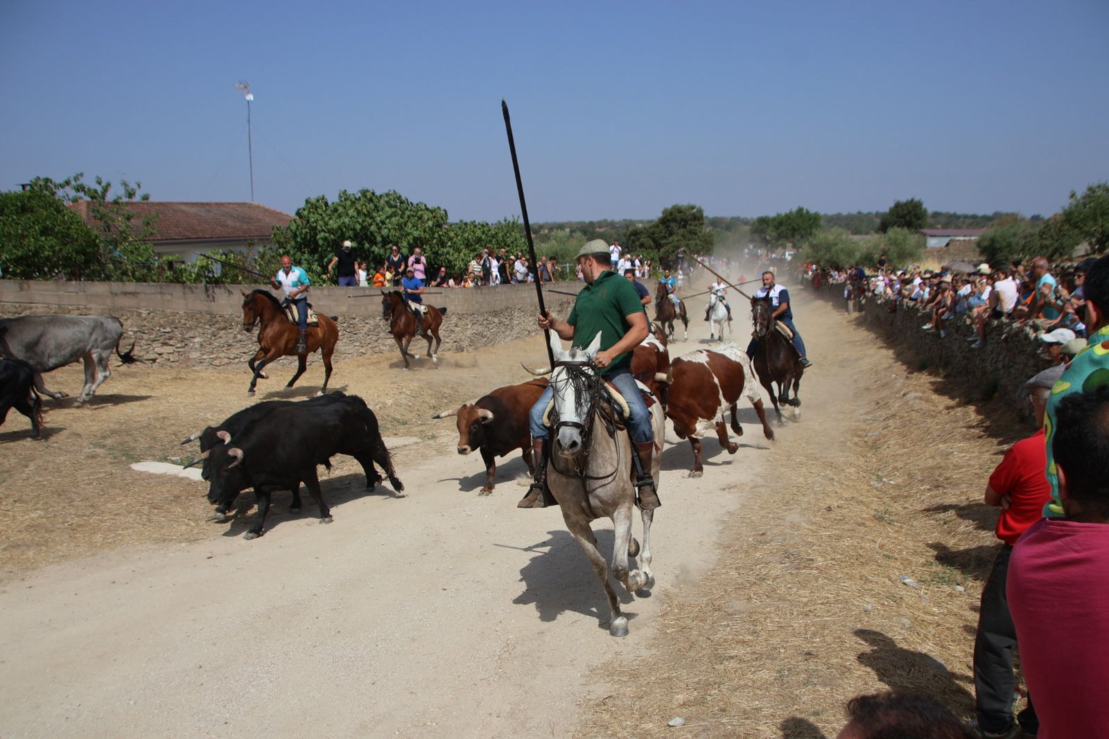 Lumbrales encierro a caballo, dia 2