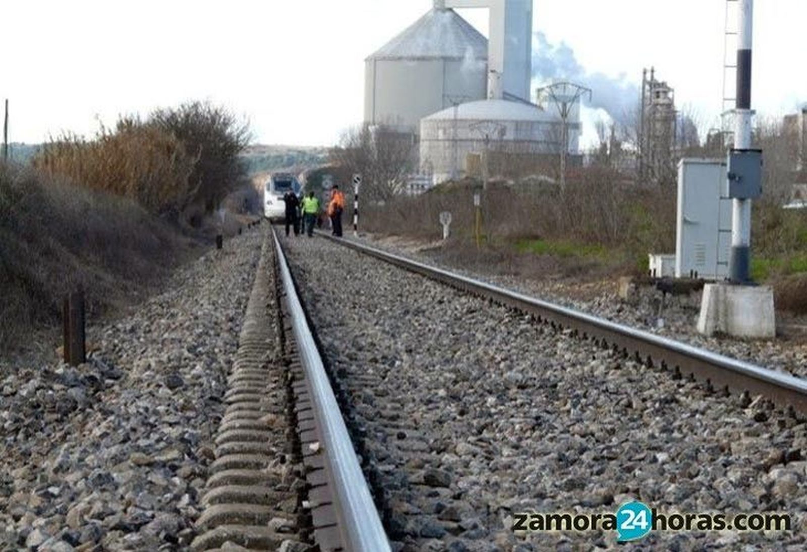El tren que une Valladolid con Puebla, fuera de servicio tras el atropello de un jabalí en Toro