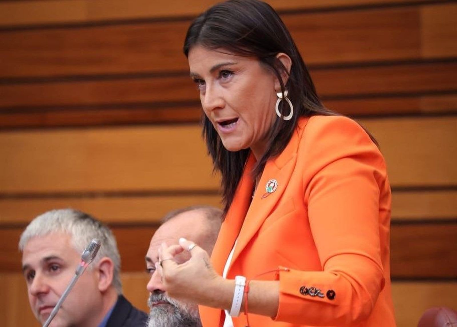 Ana Sánchez interviene en el Pleno de las Cortes. Archivo. ICAL.