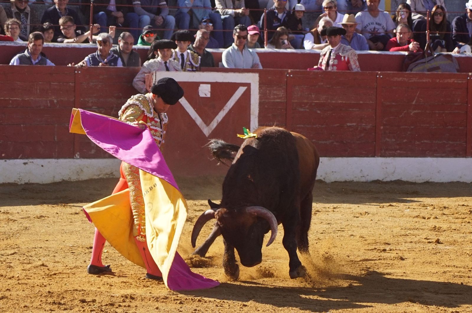 novillada-con-picadores-en-villoria-46