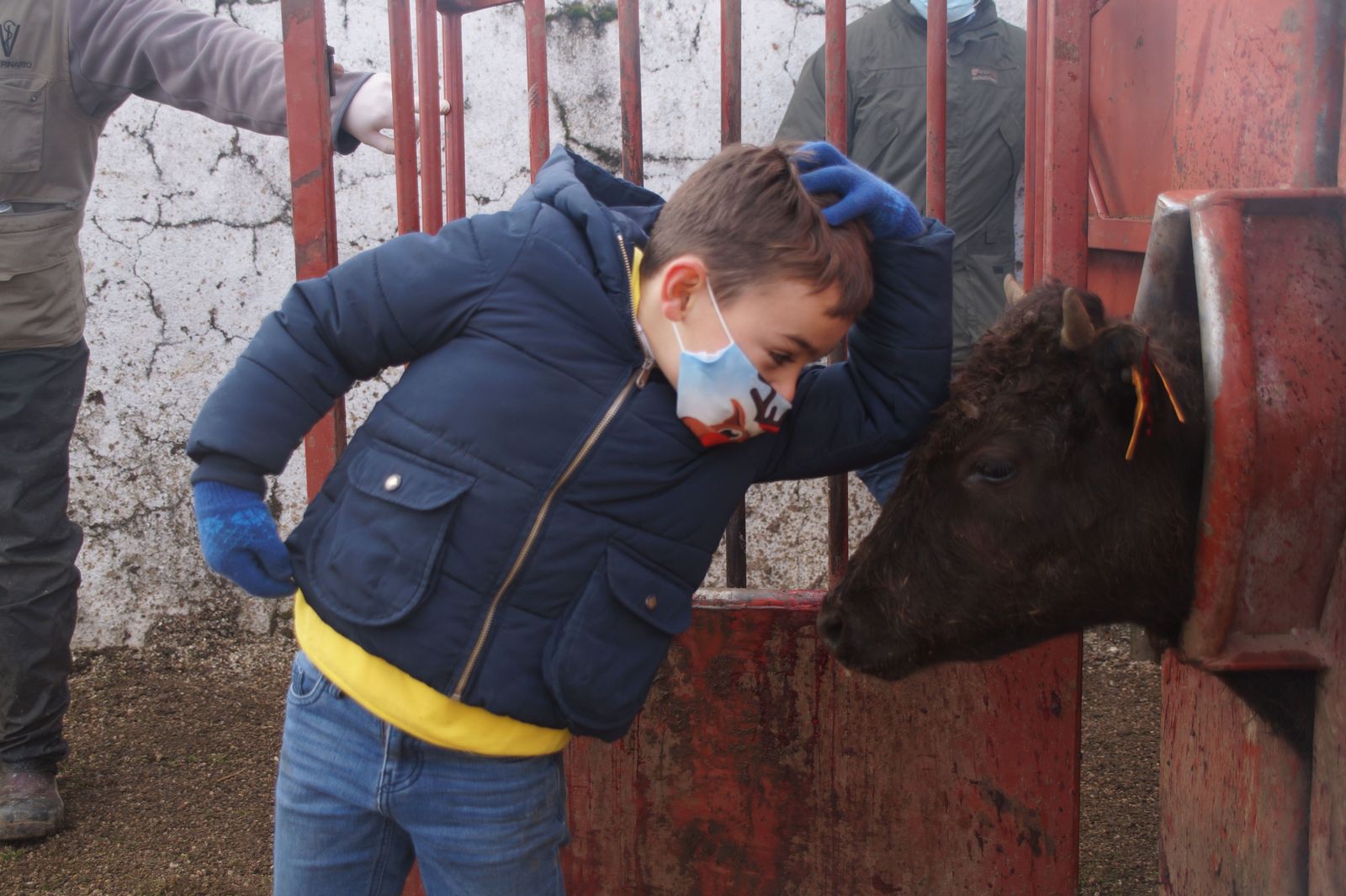 Herradero de la ganadería Pilar Población