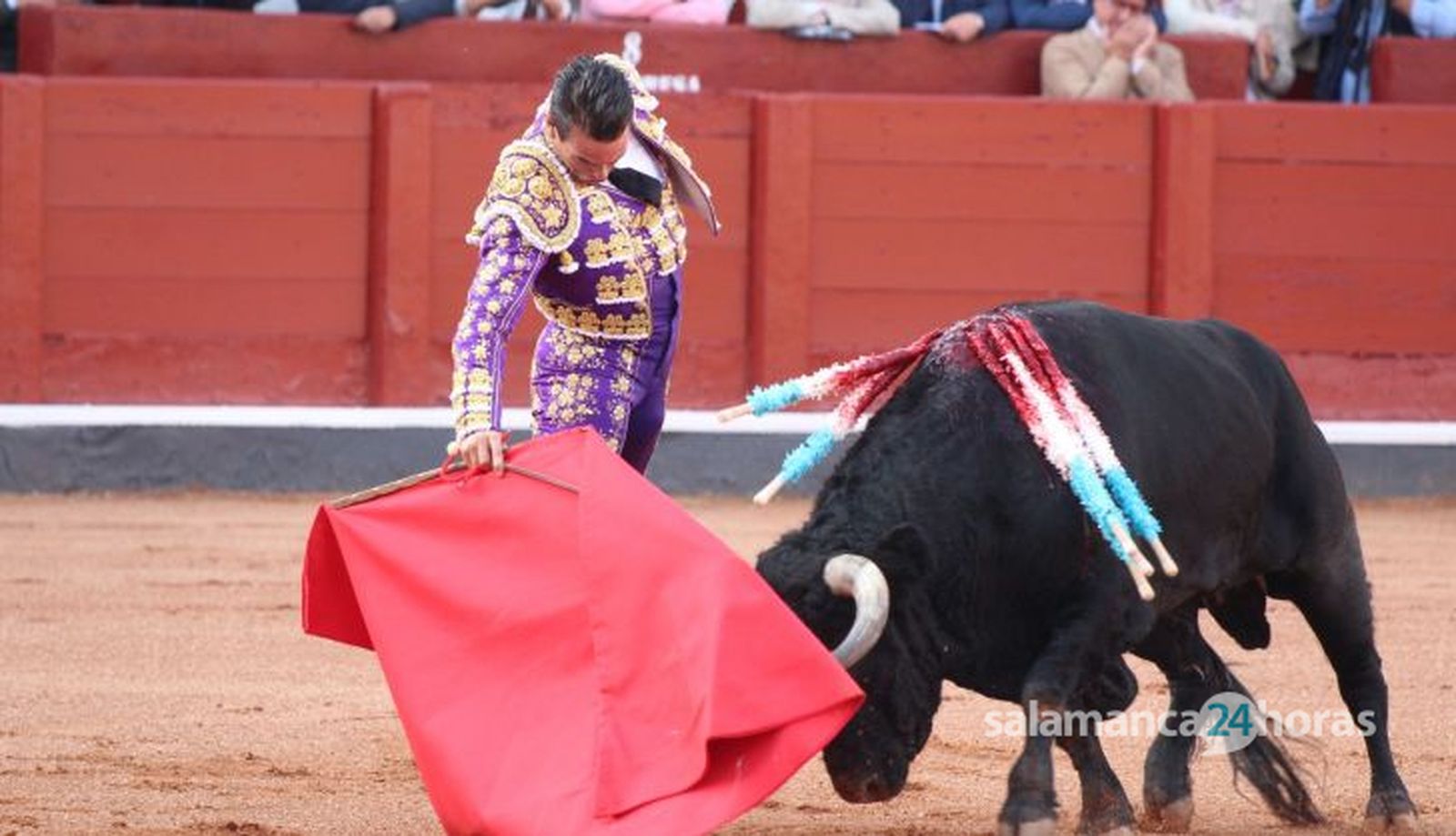 Corrida Concurso: momentos más destacados del último festejo de abono de la Feria Taurina Virgen de la Vega 2024. Fotos Carlos H.G Corrida Concurso: momentos más destacados del último festejo de abono de la Feria Taurina Virgen de la Vega 2024. Fotos Carlos H.G
