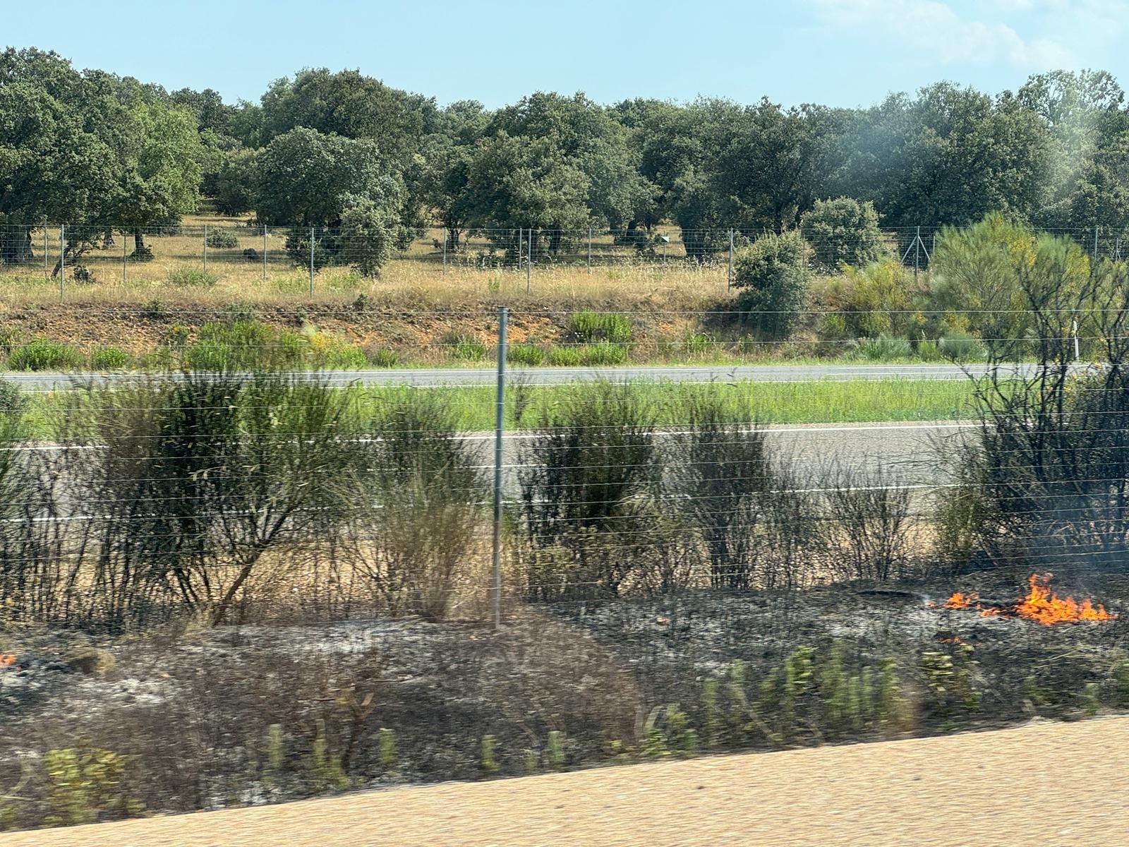 imagen-de-whatsapp-2024-07-05-a-las-16-56-47-300ad56b