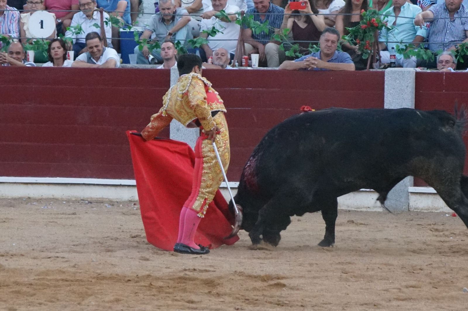 corrida-rejones-guijuelo-39