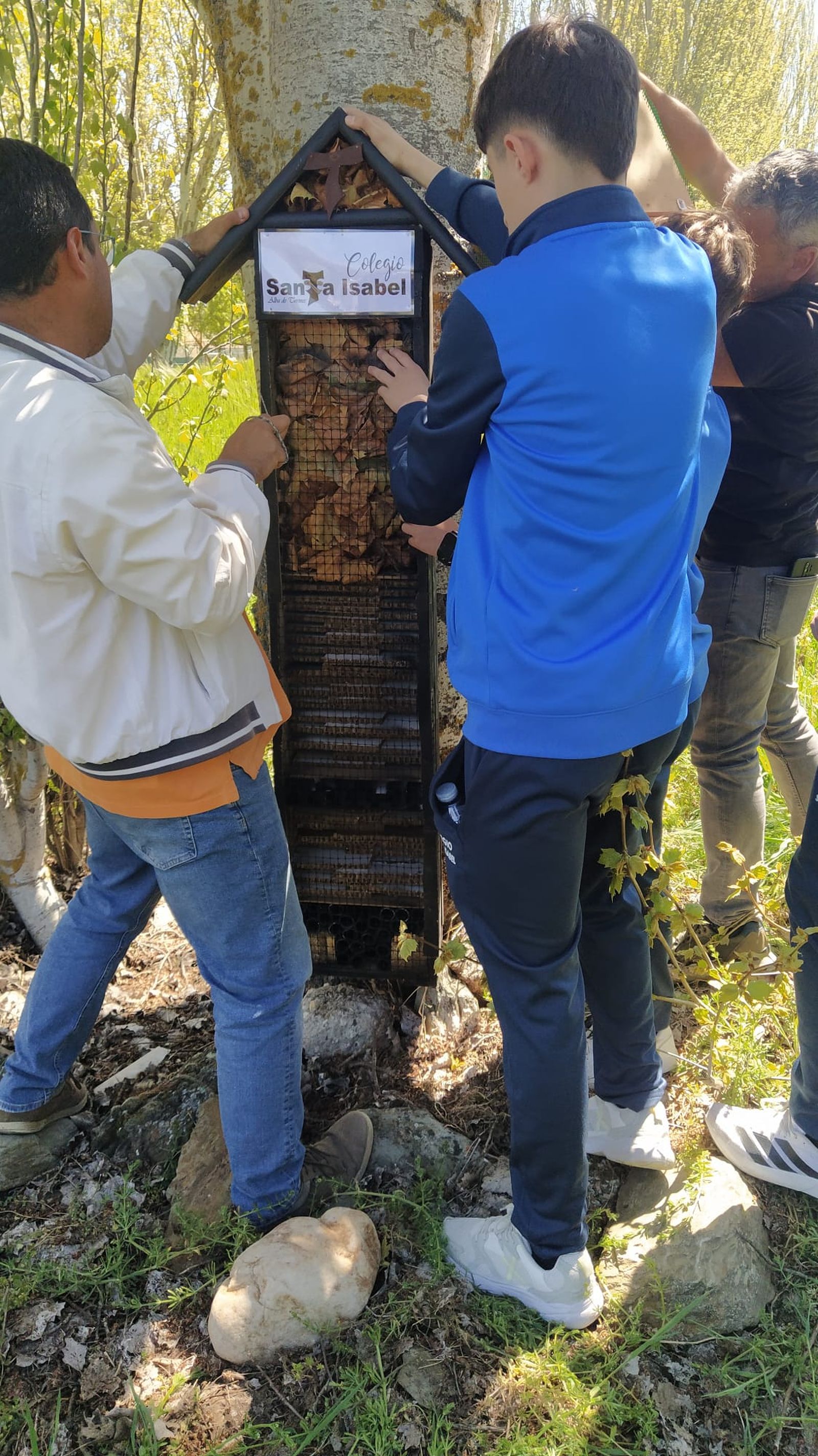 Hoteles de insectos en el camino de las playas en Alba de Tormes 1