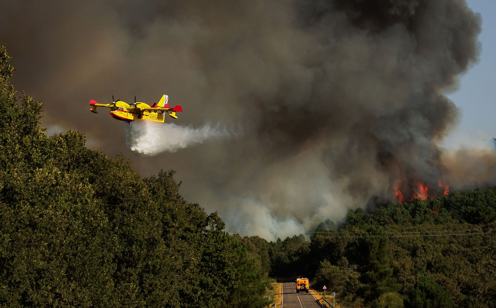 Incendio forestal en El Payo, ICAL José Vicente (6).jpg
