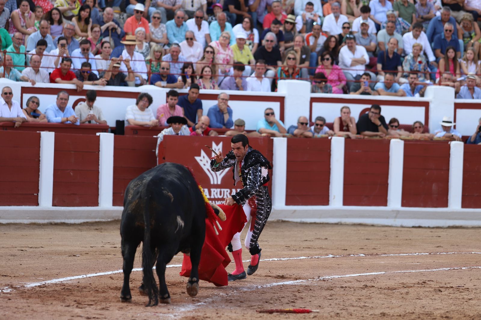 Corrida Feria Taurina San Pedro 2025. FOTO María Lorenzo (4).jpeg