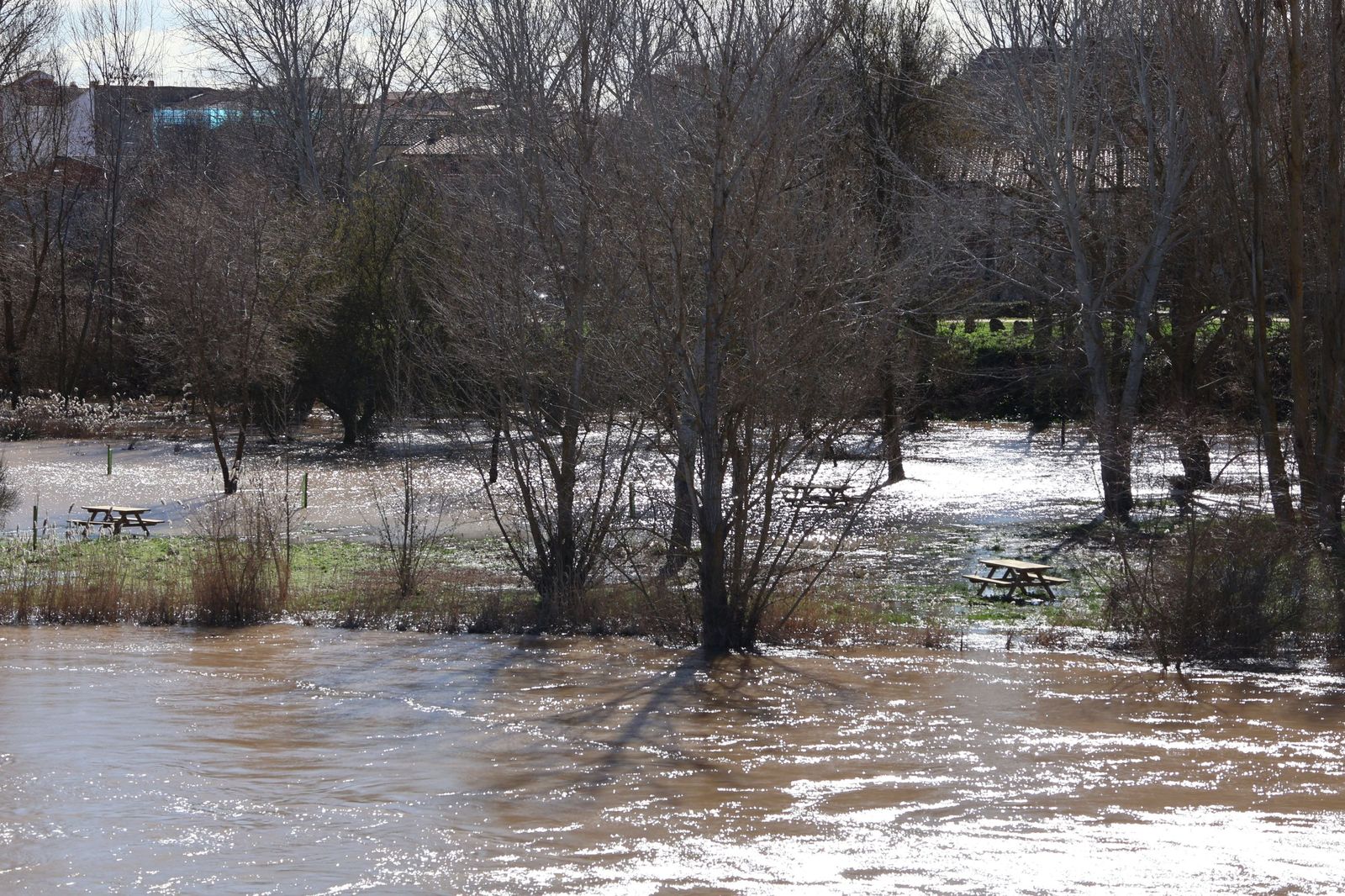 GALERÍA | El Duero muestra su fuerza con una importante crecida tras las lluvias