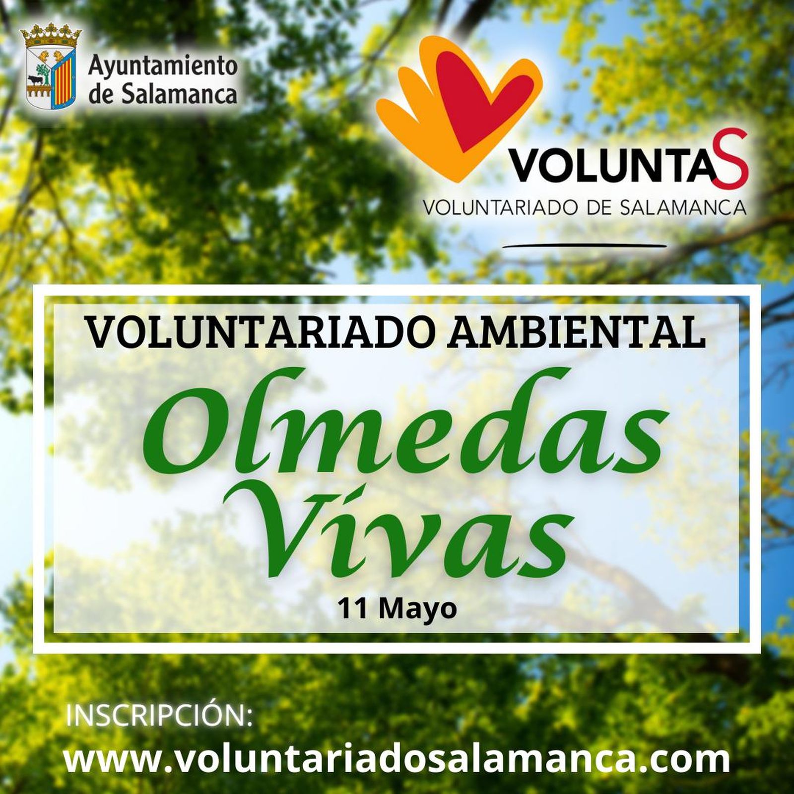 Voluntariado ambiental Olmedas Vivas