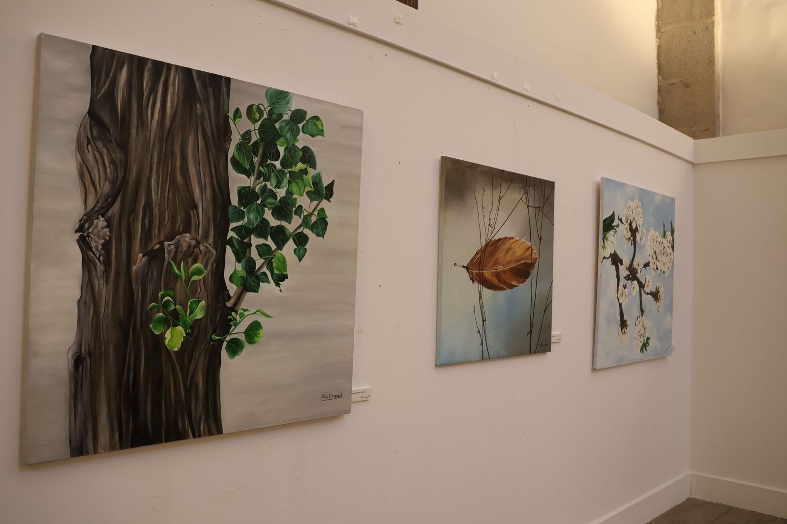 Alma natural’, la nueva exposición de Pilar E. Laperal en el Palacio de la Encarnación