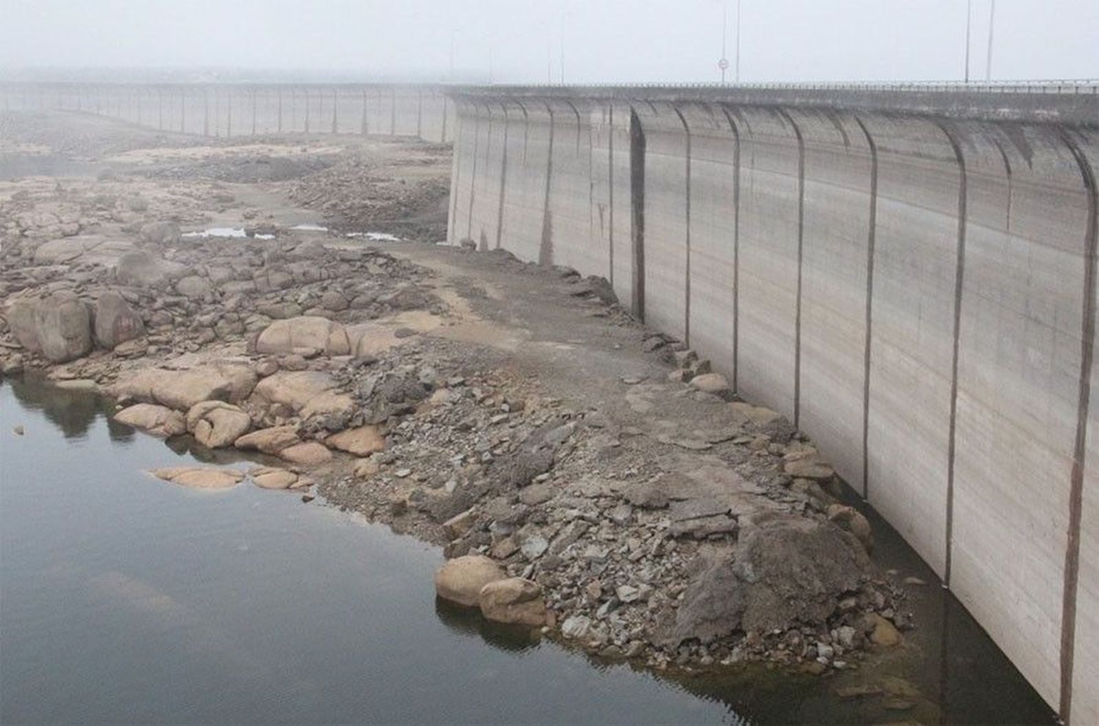 Presa sequia almendra