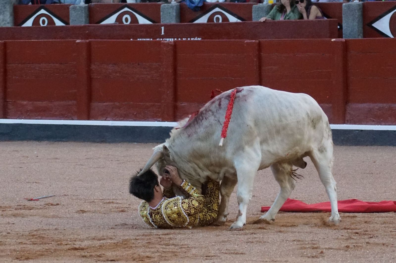 Clase práctica con alumnos de la Escuela de Tauromaquia de Salamanca (Diego Mateos, Noel García y Álvaro Rojo con erales de Esteban Isidro)