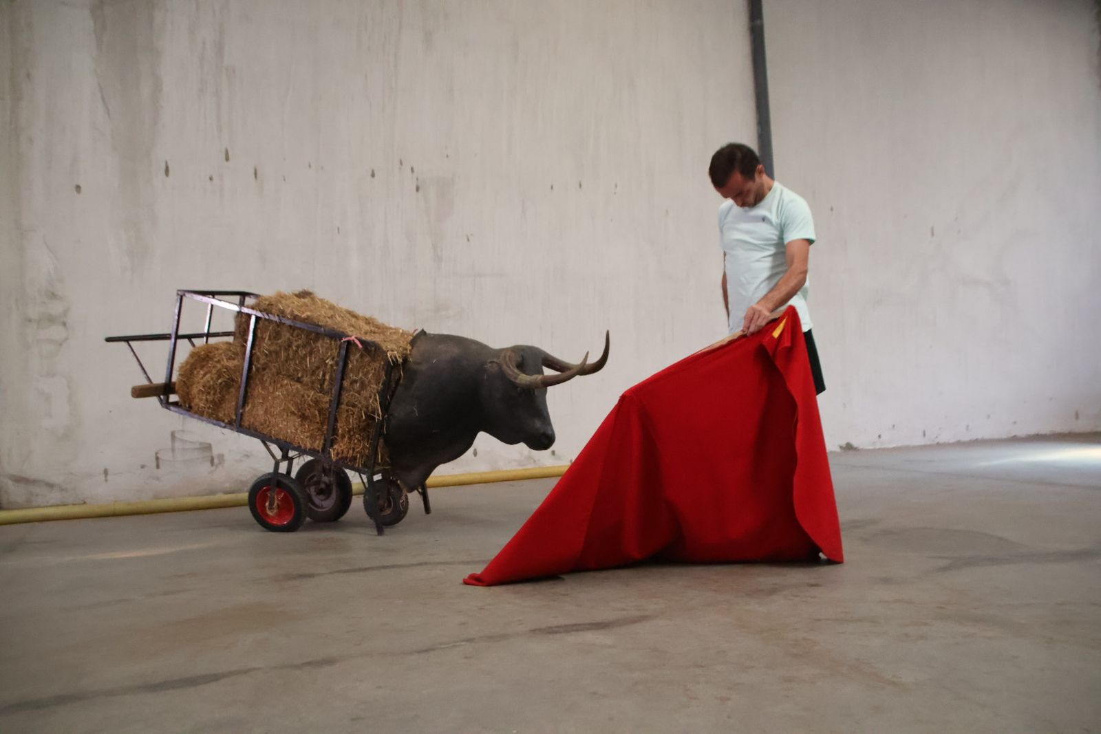 Entrevista con Damián Castaño por la feria de Salamanca