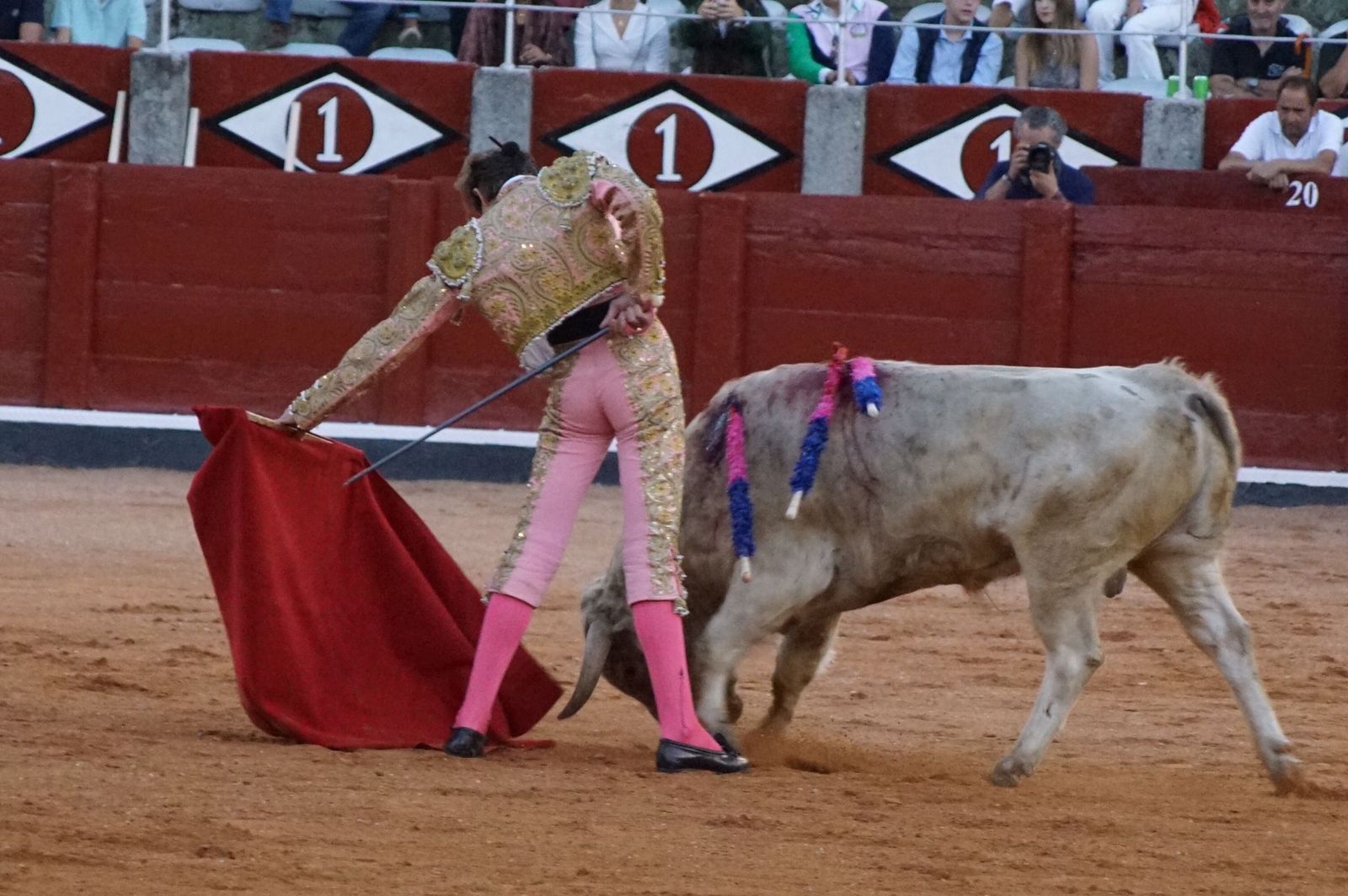 whatsapp-image-2022-09-08-at-9-22-03-pm