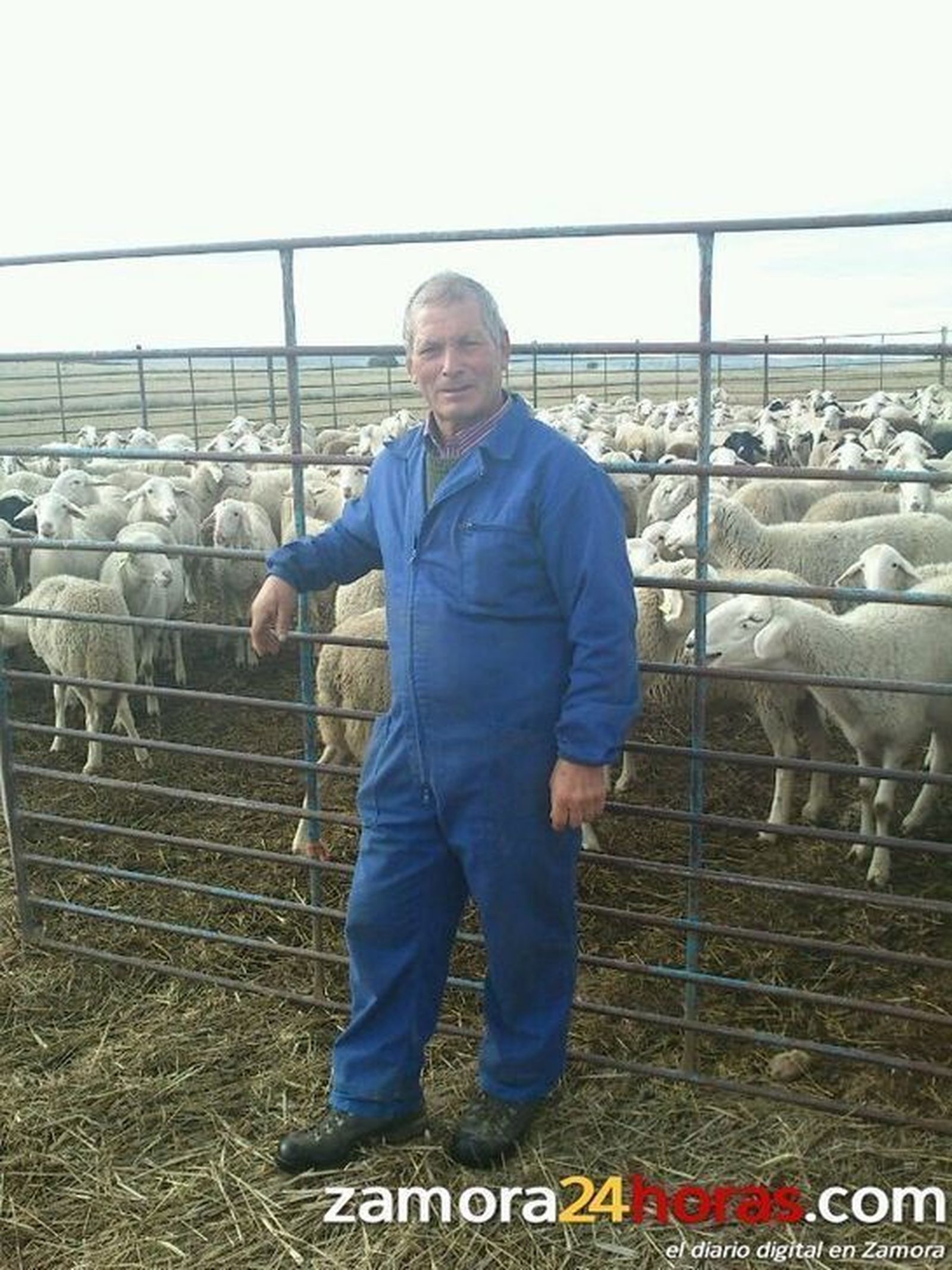 Churreros trashumantes de Aliste y Sierra de la Culebra: Mejor proyecto empresarial vinculado al medio rural