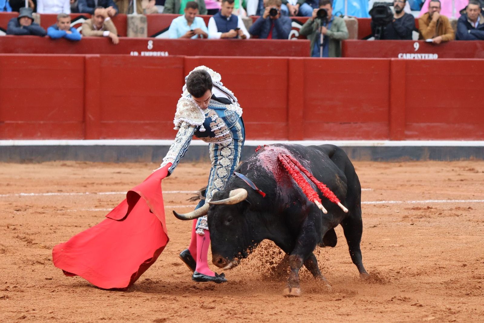 20230916175719-img-5386