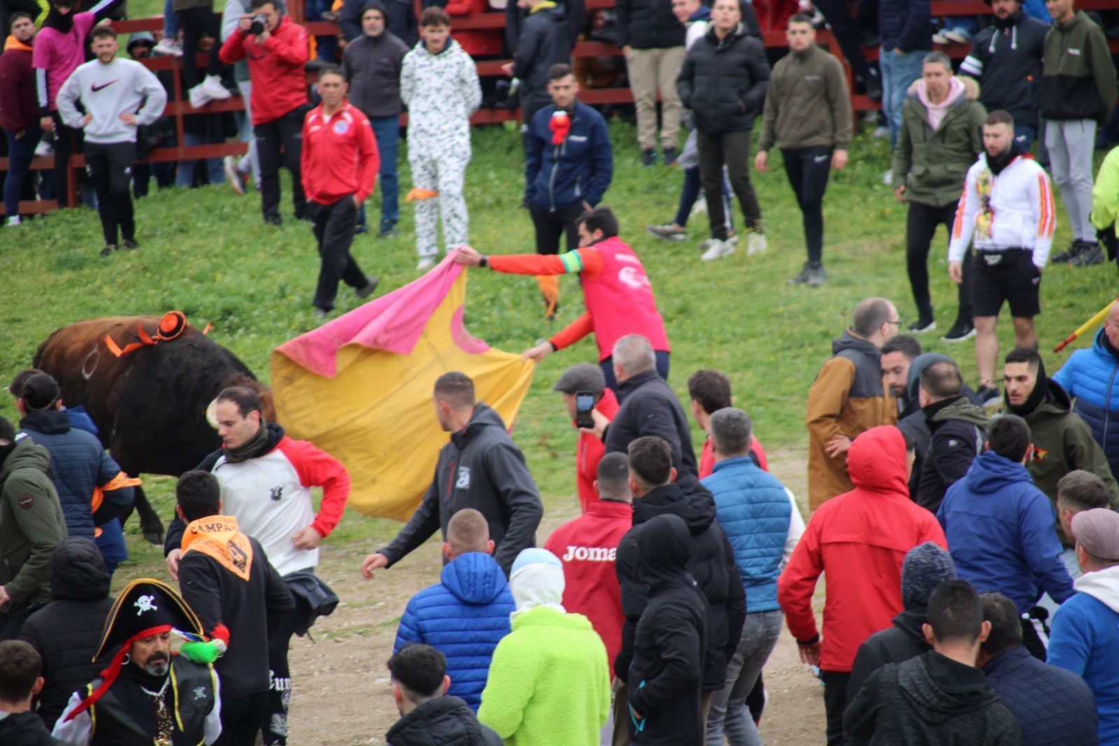 whatsapp-image-2025-03-01-at-11-56-30-1