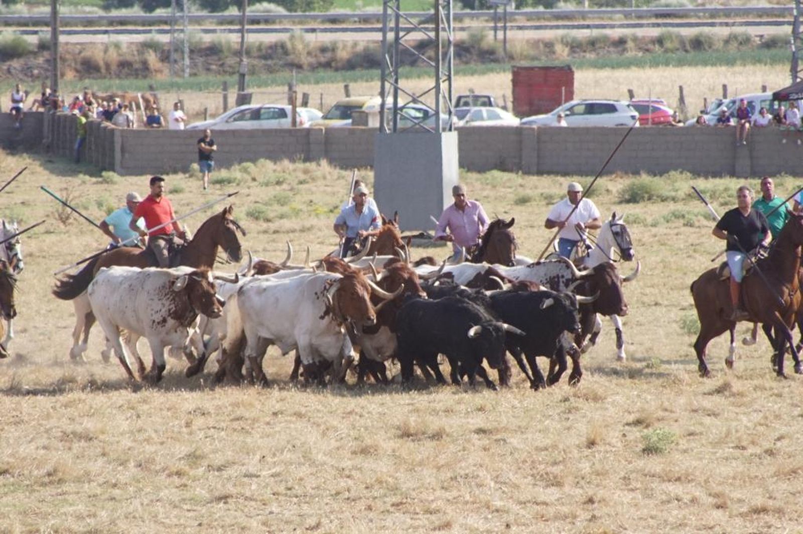 espantes-de-fuentesauco-13