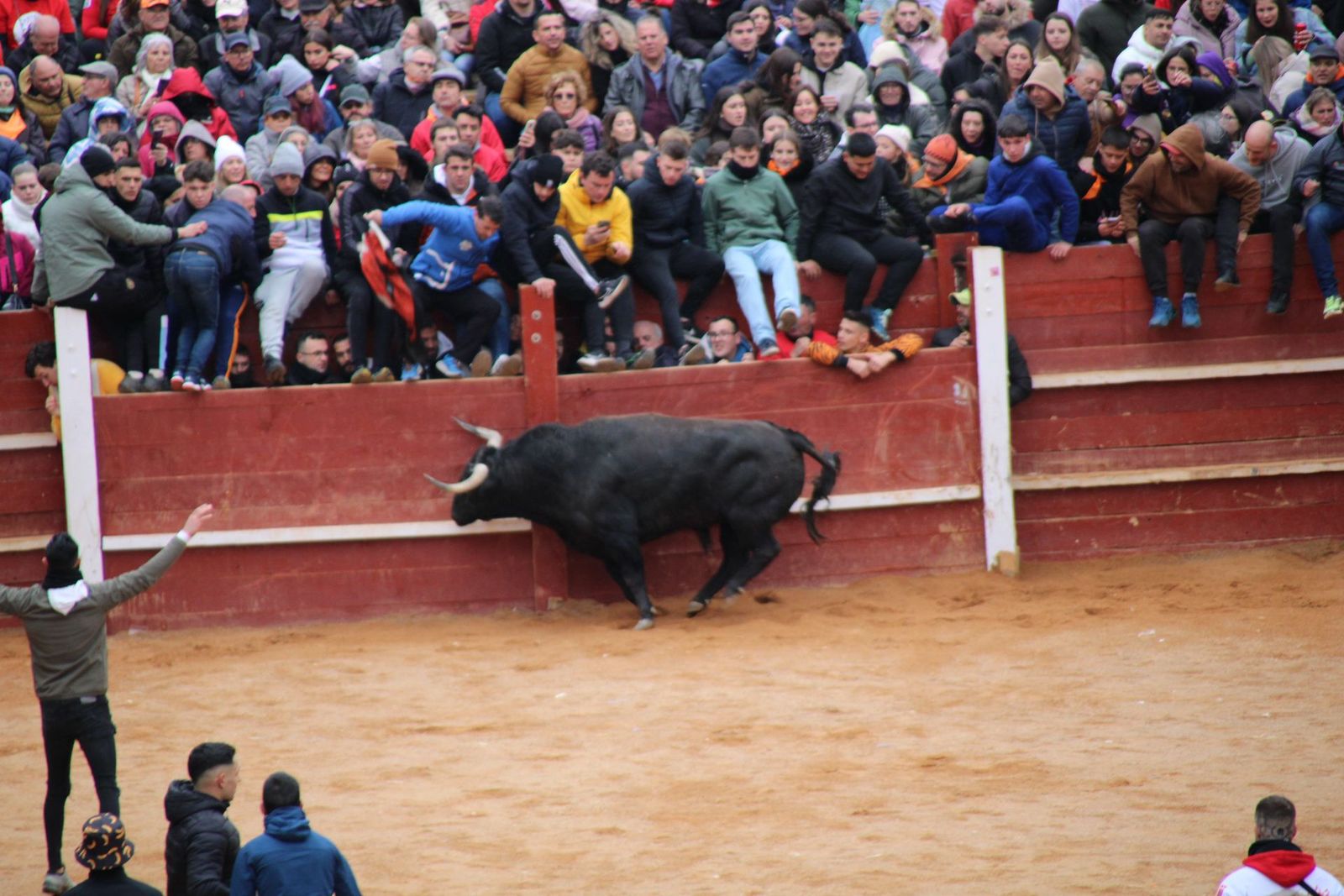 whatsapp-image-2025-03-01-at-13-19-05