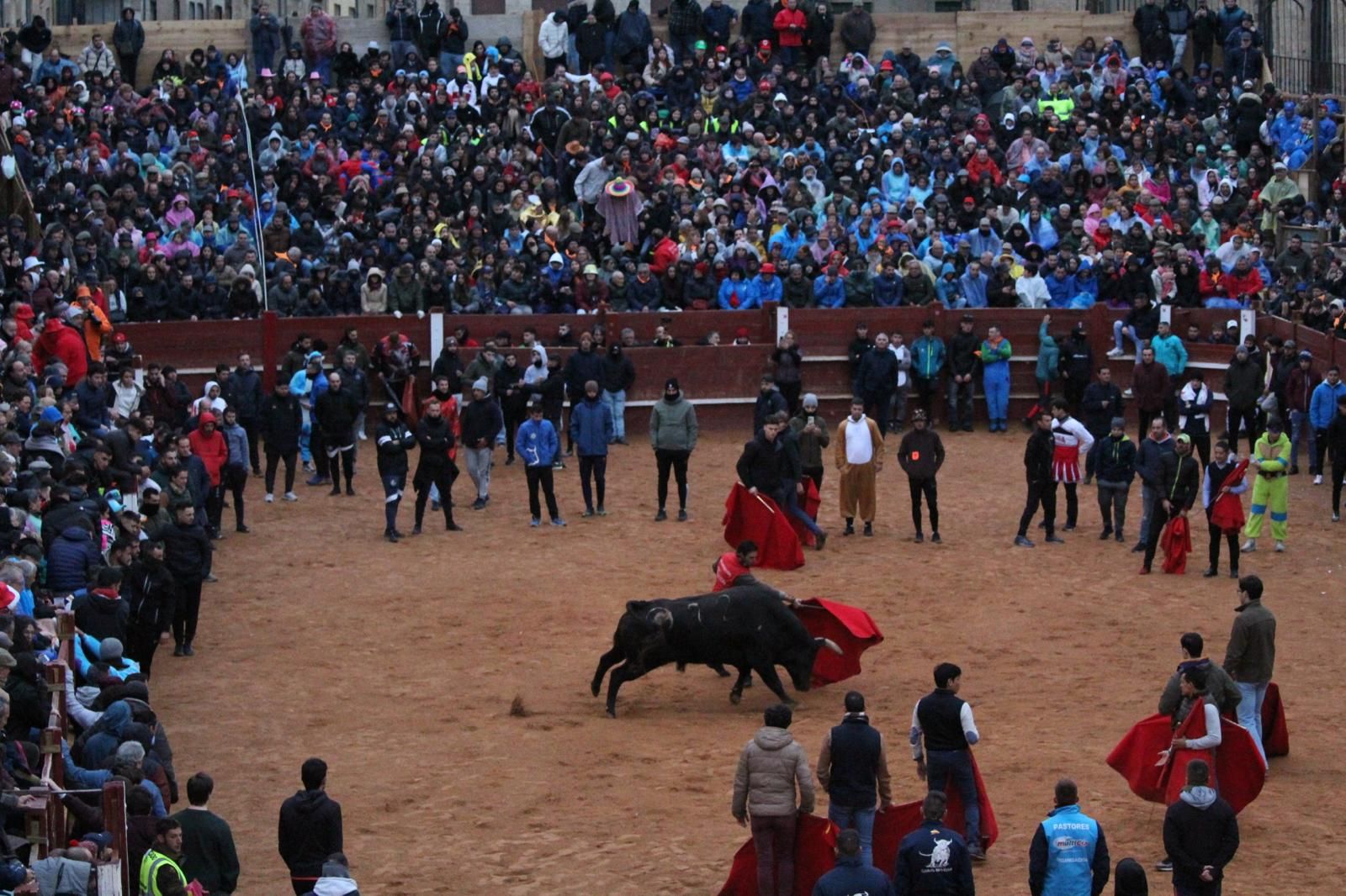 ambiente-y-capea-vespertina-sabado-de-carnaval-en-ciudad-rodrigo-2025-fotos-belen-hurtado-14
