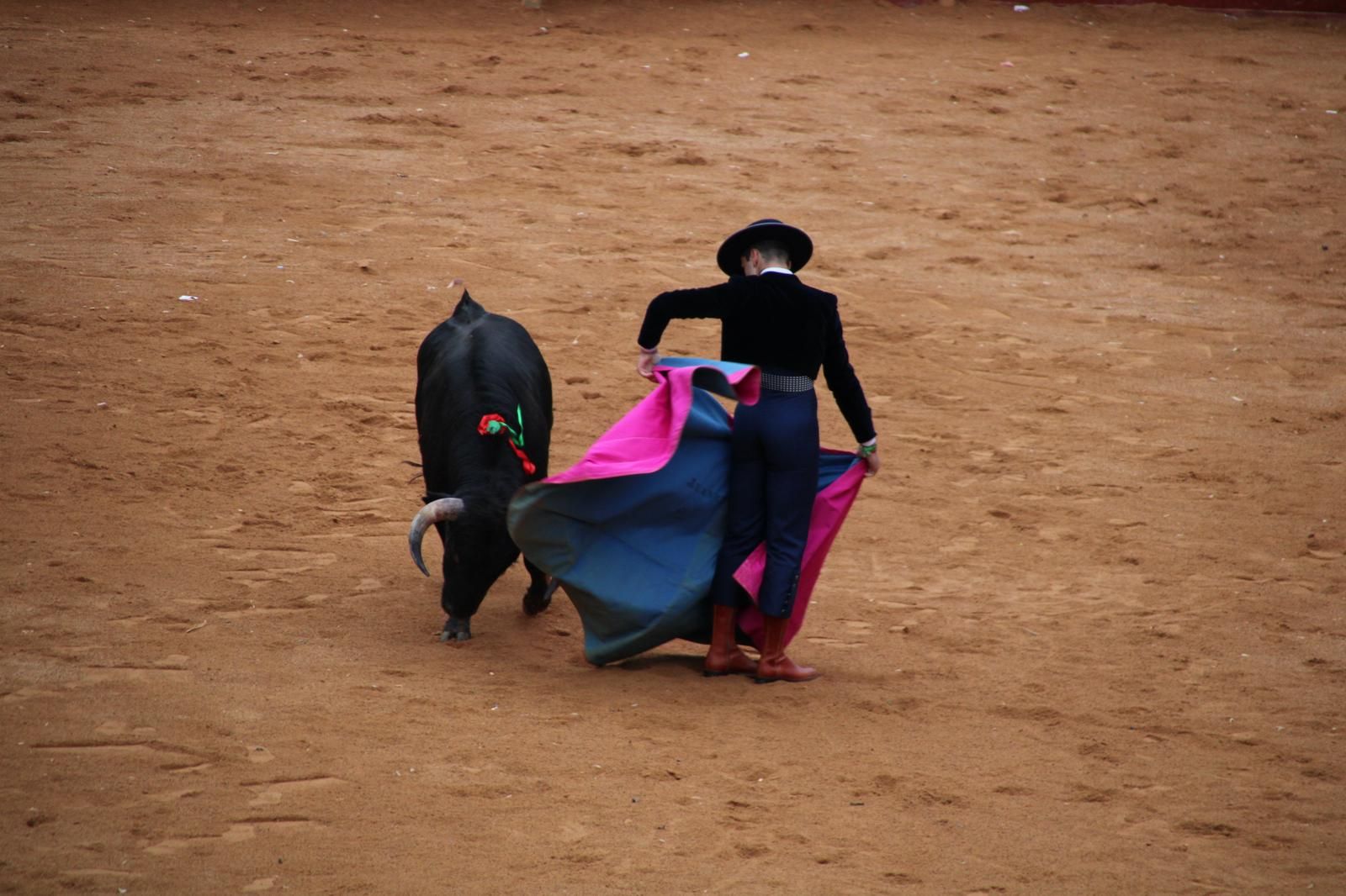 whatsapp-image-2025-03-02-at-18-55-00-1