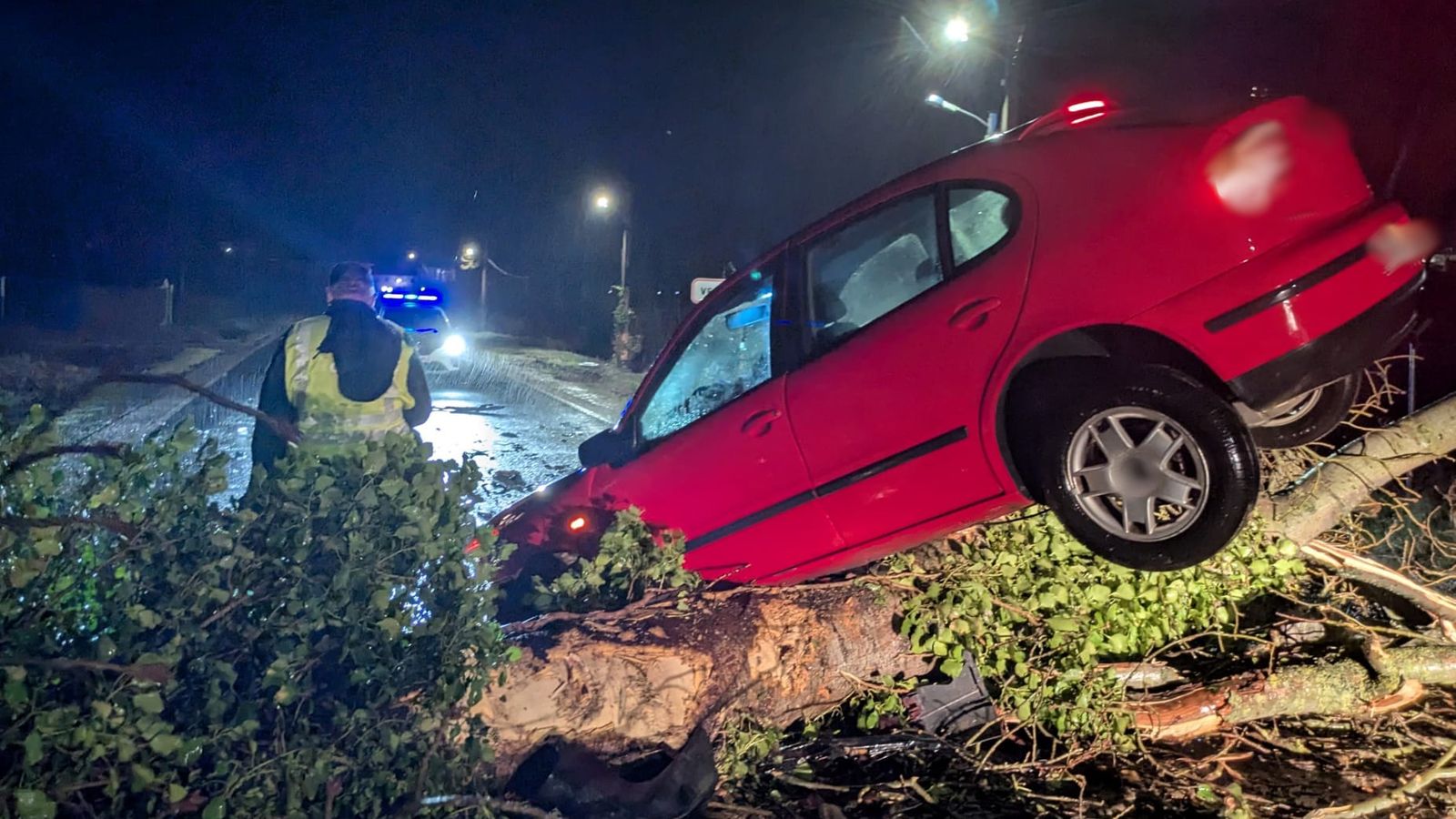 El vehículo que ha chocado contra el árbol a primera hora de la mañana