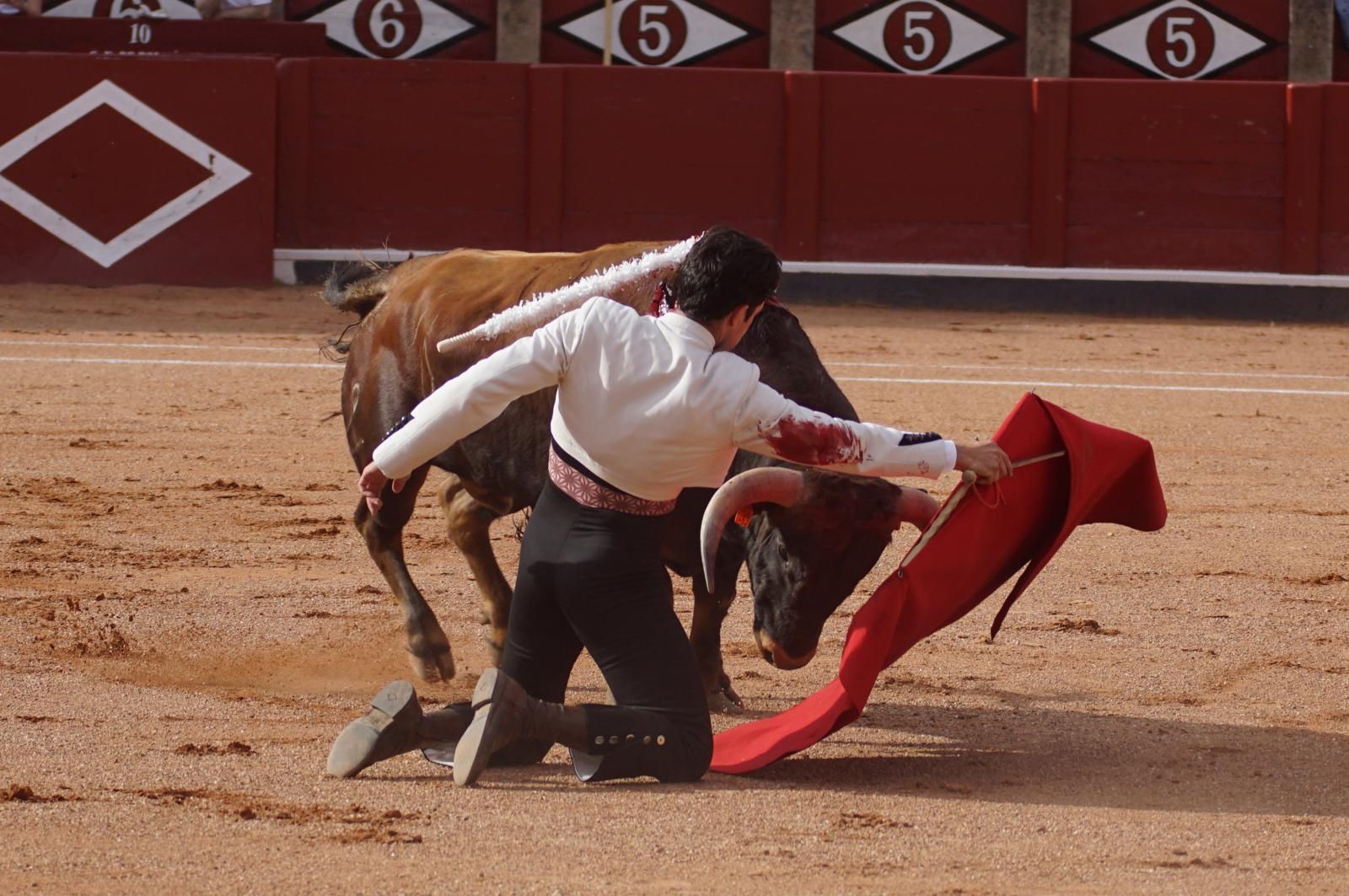 whatsapp-image-2025-06-12-at-21-25-04-5